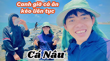 Câu Cá Nâu Ở Kè Lagi, Tới Giờ Cá Ăn Kéo Liên Tục