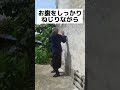 【元120キロのダイエット術】1日50回でお腹痩せする魔法の方法‼︎ #shorts