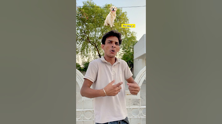 Conversation with street dog v/s pet dog 🐕🥺😂 #comedy #dogs #comedyvideo #funnyvideo