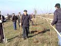 Акция «Зеленные километры» стартовала в Кумторкалинском районе