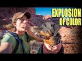 Stunning Scenery Solo Hiking Bowl of Fire - Lake Mead, Nevada in 4K