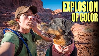 Stunning Scenery Solo Hiking Bowl of Fire - Lake Mead, Nevada in 4K