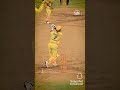 lion is back MSD attitude status