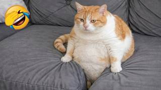 These lovable pets will make your day much happier 😂