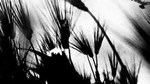 Mario Giacomelli