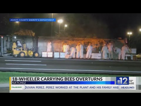 18-wheeler carrying bees overturns in Natchez