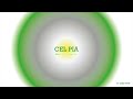 2DJE8 Flow - Cel Pia | Ambient music