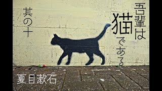 朗読　夏目漱石『吾輩は猫である』⑽