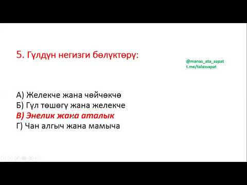 Video: Хлоропласттар клетканын айланасында кандай кыймылдашат?