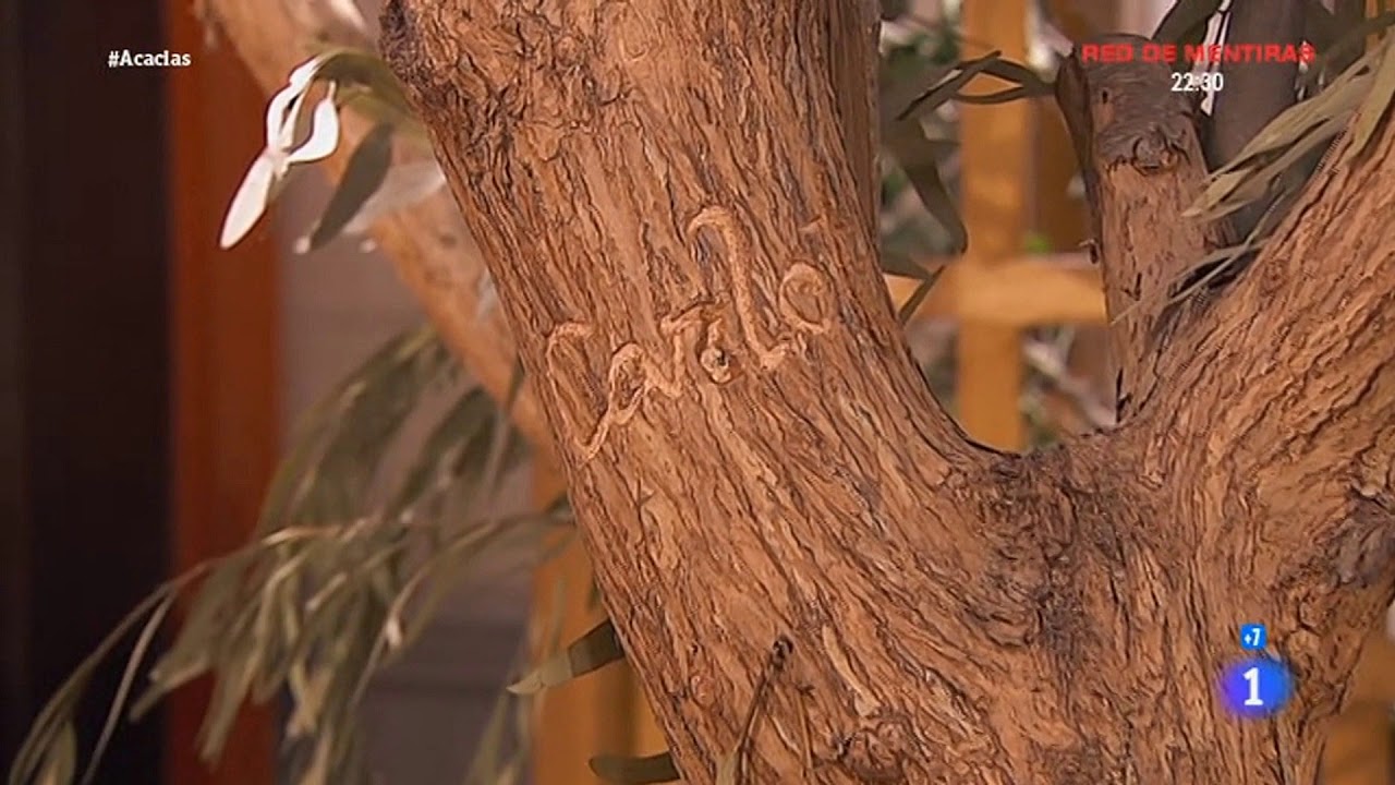 Acacias 38 BSO || Un ángel bajo el árbol