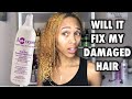 Repairing My Color Damaged Hair | Aphogee Two Step Protein Treatment
