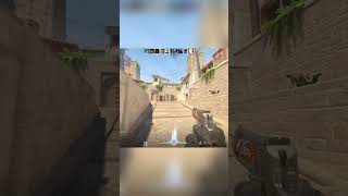 CS2 | She was a fairy #shortsviral #csgo #cs2 #gaming #memes