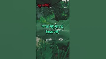 001) সুরা আল-ফাতিহা | Sura Al-Fatiha | سورة الفاتحة Abdelaziz Sheim | #quran #surahefatiha #surah