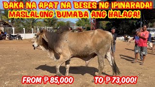 BAKA NA APAT NA BESES NG IPINARADA! MASLALONG BUMABA ANG HALAGA! | ₱ 85,000 TO ₱ 73,000 | SOLLE'S G.