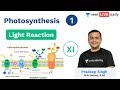 NEET: Photosynthesis - L 1 | Light Reaction | Class 11 | Unacademy NEET | Pradeep Sir