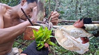 Teknik Bertahan Hidup di Hutan: Berburu Durian dan Bangun Pondok Alami