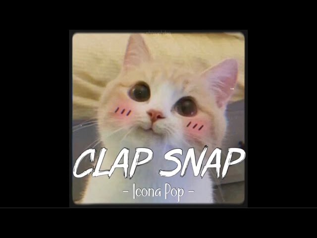 [Vietsub+Lyrics] Clap Snap - Icona Pop | Nhạc Hot Remix TikTok class=