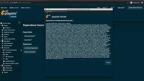 Payara MicroProfile Config (bug?)