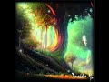 Fairys flight  fantasy medieval music  ambiance  digital images  forest