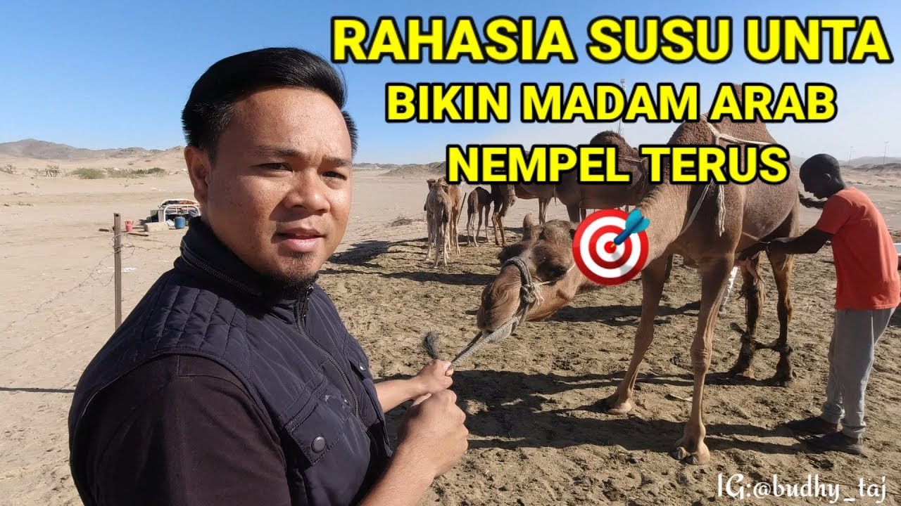 KHASIAT LAIN MINUM SUSU UNTA FRESH 