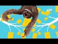 Boing bumper_Ident (2016-2020) + Boingiorno (2018)