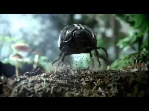 jack-daniels-volkswagen---black-beetle-(commercial)