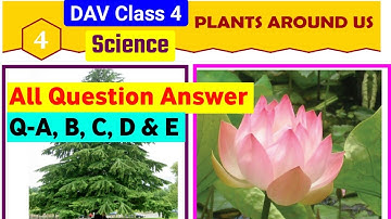 🌱Plants Around Us Question Answer|Dav Class 4 Science chapter 4 Question Answer|