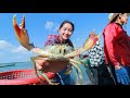 Where to buy mud crab on the board at the sea | 2 recipes of mud crab | buy crab from fisherman