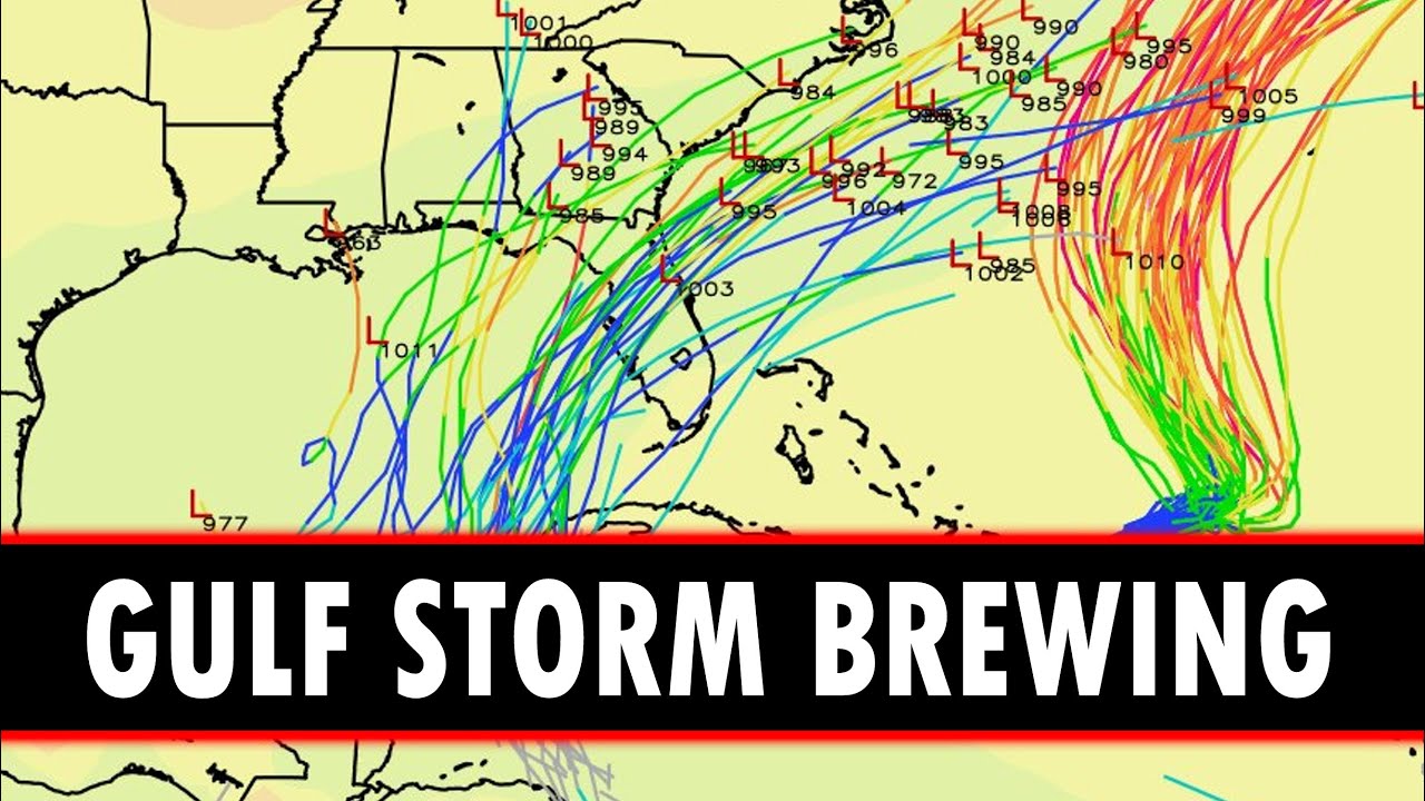 Watching the Gulf Towards Florida for Tropical Development - YouTube