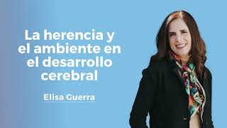 Herencia y medio ambiente en el desarrollo cerebral