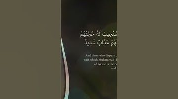 سوره الشورى هزاع البلوشي الوجه الثالث