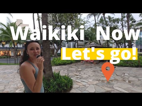 Vídeo: Top Driving Tours e Walking Tours em Oahu