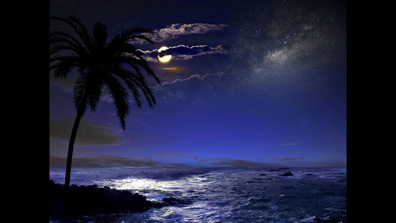 Море ночь красиво. Ночное море. Ночь в море. Пляж ночью. Ночное море с пальмами.