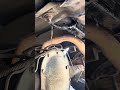 When I know someone cheaper goes wrong. Leaking fuel pump F-150