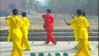 KungFu- Long Fist (Chang Quan) Step-by-Step Explanation and Complete Demonstration 长拳 screenshot 5