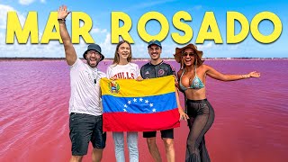 @MateoLisanna  ALUCINARON con los paisajes de VENEZUELA con @ViajandoconVero