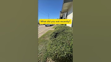 🫰🏻🦋 #commonsenseriddles #funnychallenge #logicgames #funny #mindbendingquiz #funnyvideos