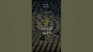 #قران_كريم #ماتيسر من سورة الاحزاب #فارس_عباد