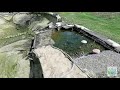 Реконструкция пруда с биоплато | 2 серия