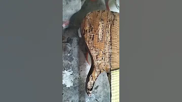 Multi Scala Spalted Alatmusic Guitars Custome Fypyoutube Youtubeshorts Viral 