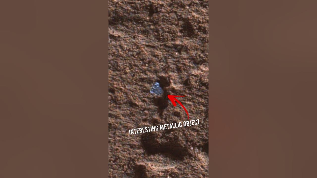 OVD Mars Mission