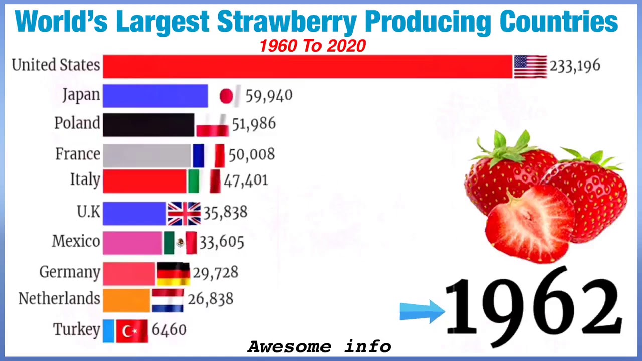The Top 5 Strawberry Producing Countries vrogue.co