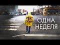 Неделя в доставке еды, 90 заказов. Деливери или Яндекс?