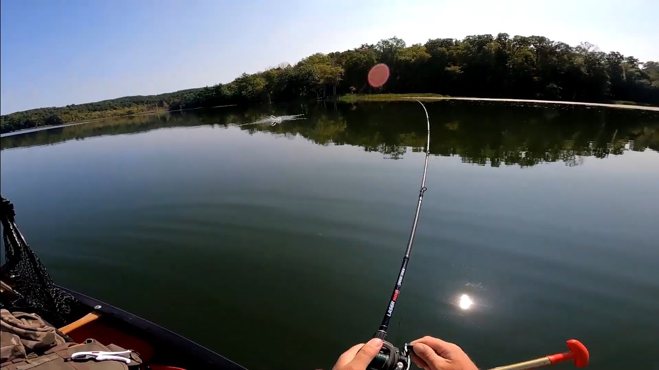 September Bassin'.