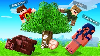 MINECRAFT mas PROIBIDO TOCAR NO CHÃO