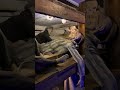 Поезд ВОВ. Ссылка в комментариях.  Москва.