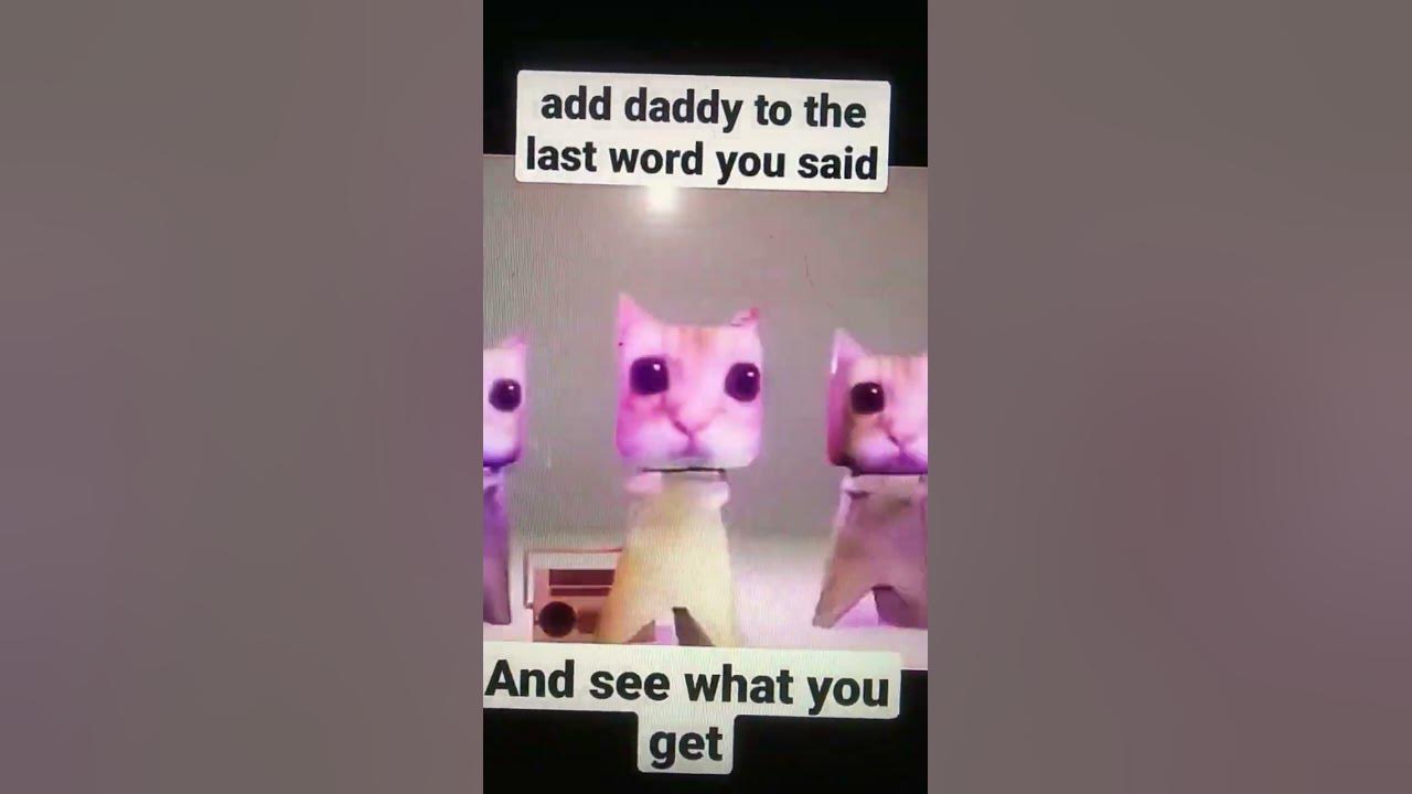 elgato cats dancing meme  not mine
