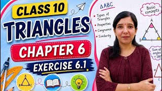 Class 10 Maths Chapter 6 Exercise 6.1 | Triangles| NCERT Solutions | Easy Method