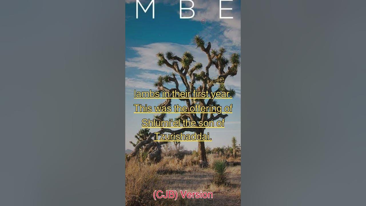 Numbers 7 41 cjb niv offerings youtube