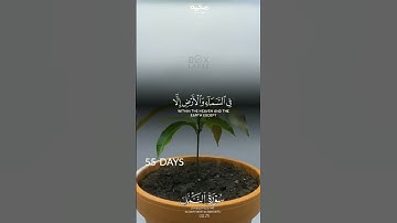 اكتب شيء تؤجر عليه #quran #اكسبلور #تلاوات #قرآن #duet #ترند #fyp #لايك